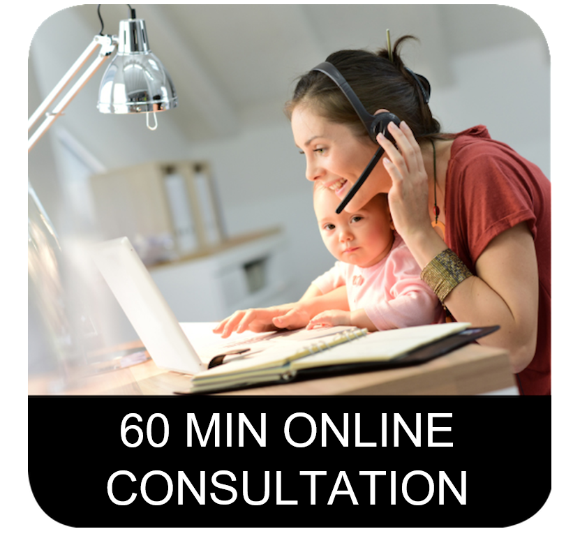 60 Minute Consultation with a Worm Whisperer (Recommended for Family Consults)