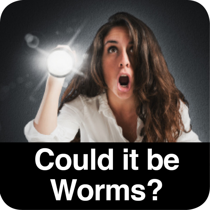 Could it be Worms? Video Presentation by Naturopath Rachel Arthur